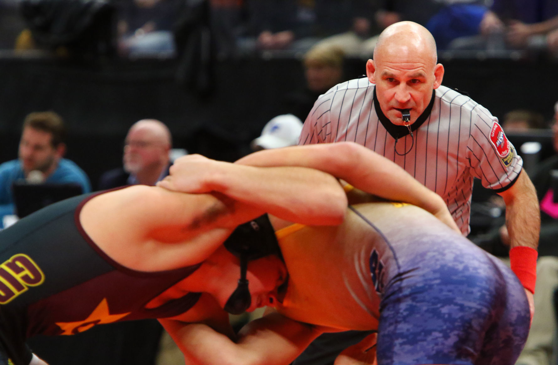 Gallery: Wrestling State Finals